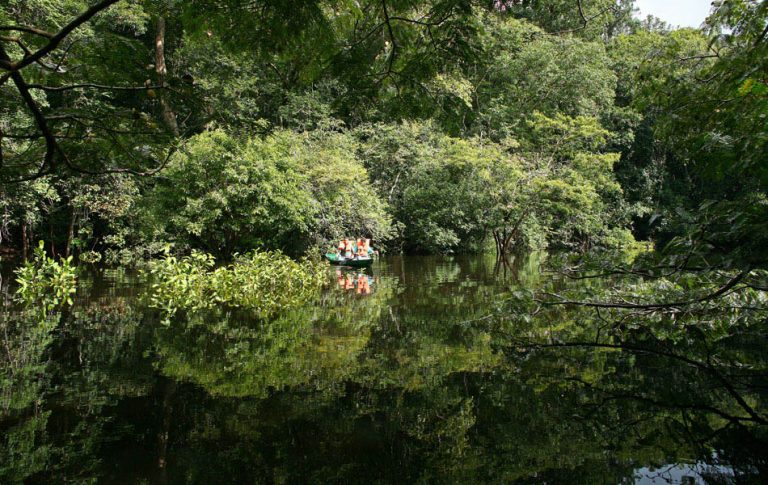 Amazonie canoe dans les Igarapes