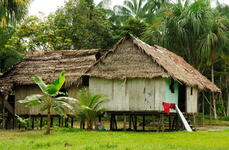 Amazonie communautés indiennes