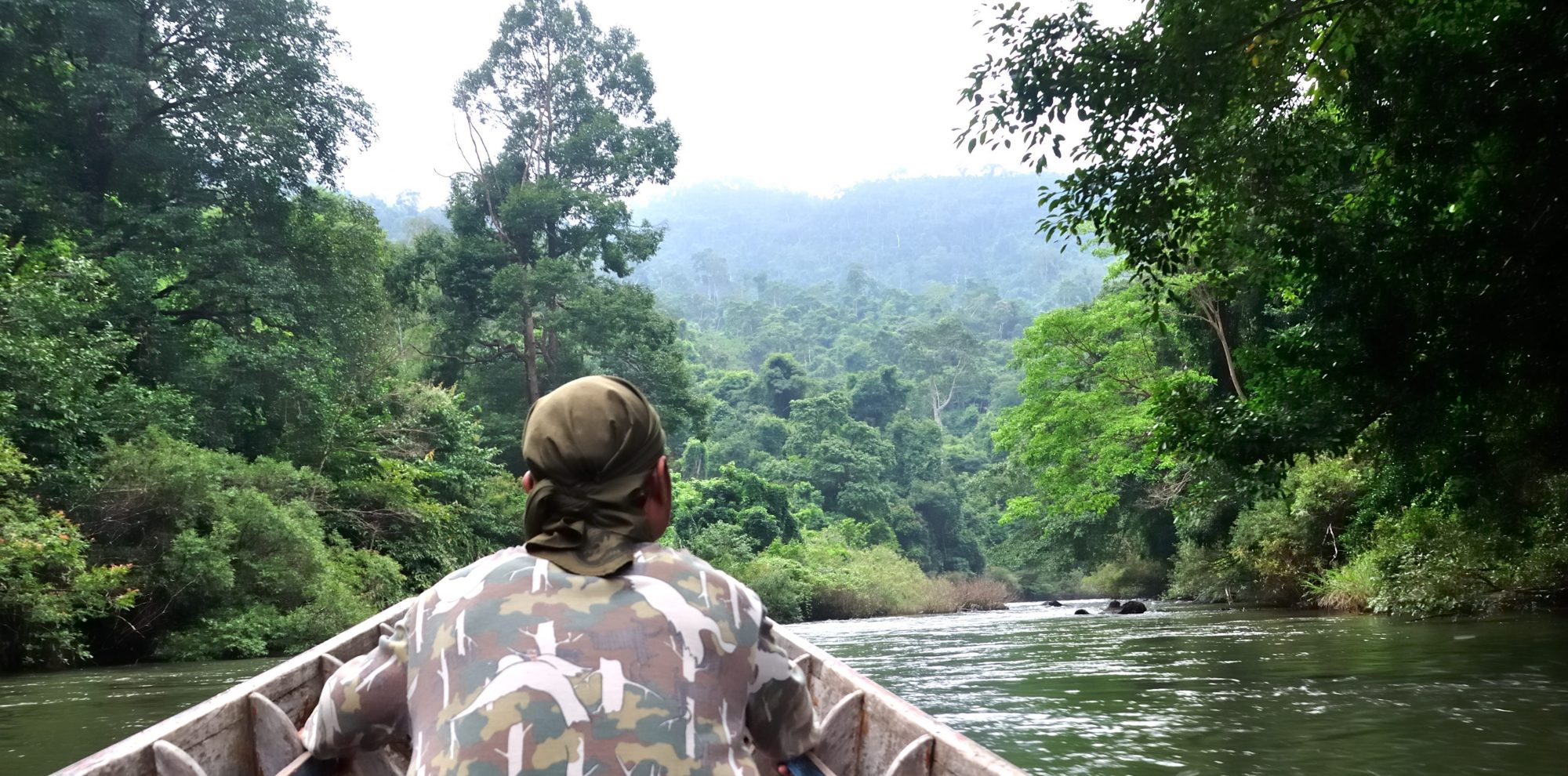 Amazonie en remontant la rivière