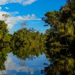 Amazonie Igarape mirroir