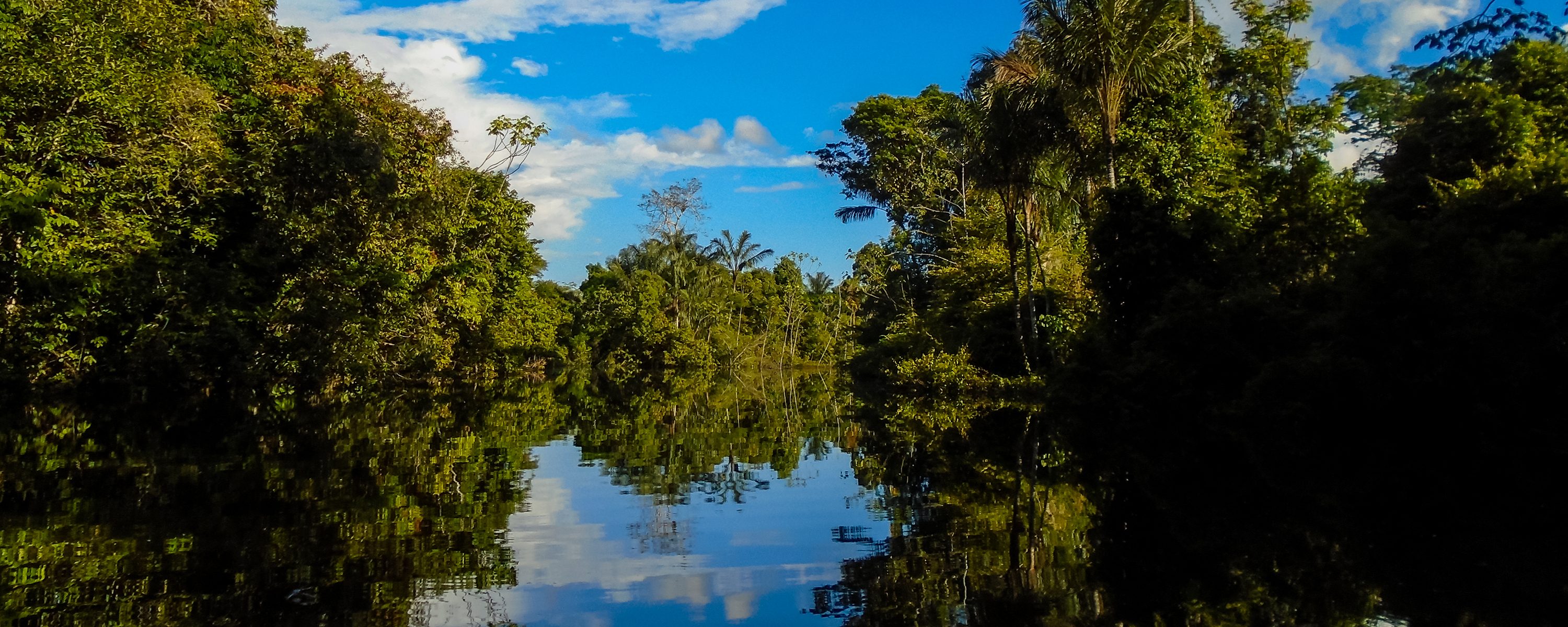 Amazonie Igarape mirroir