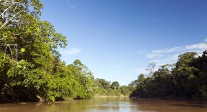 Amazonie rivière d'eau marron