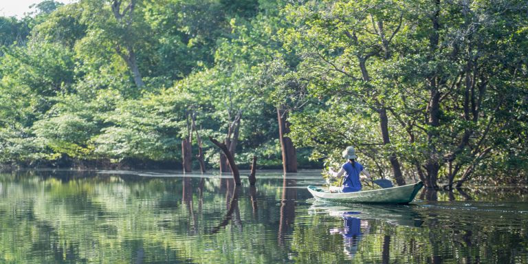 balade en Canoe Anavilhanas lodge