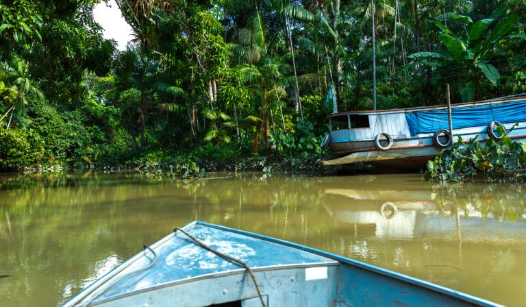 balade en canoe croisière Rio Negro