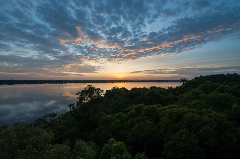 coucher de soleil archipel Anavilhanas