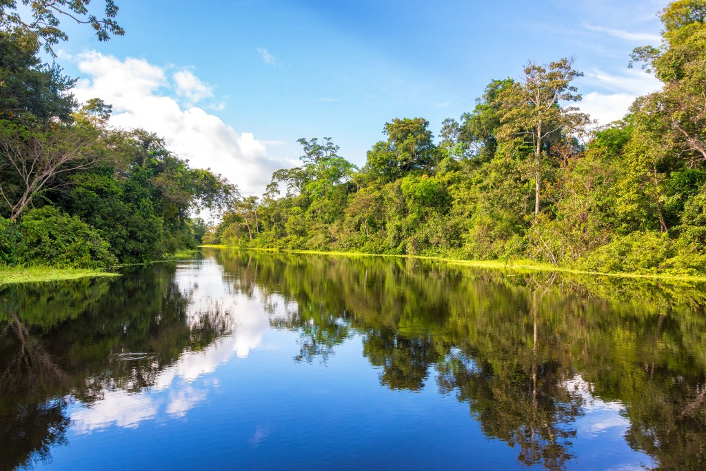 Croisière Amazonie