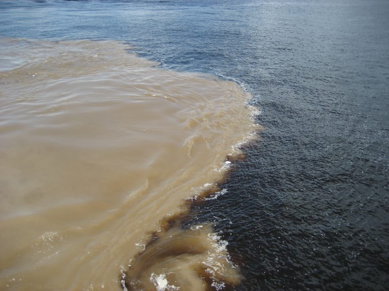 Croisière Rio Negro, la  rencontre des eaux vue de près