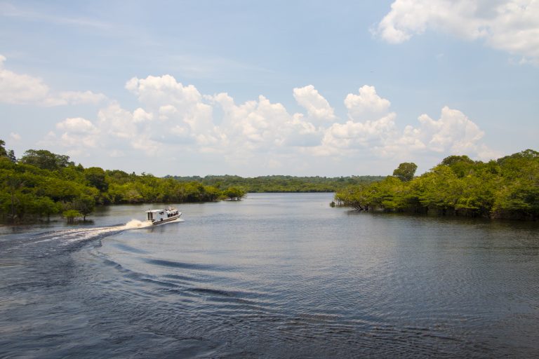 Excursion en bateau à moteur Amazonie