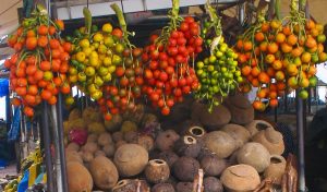 fruits Amazonie
