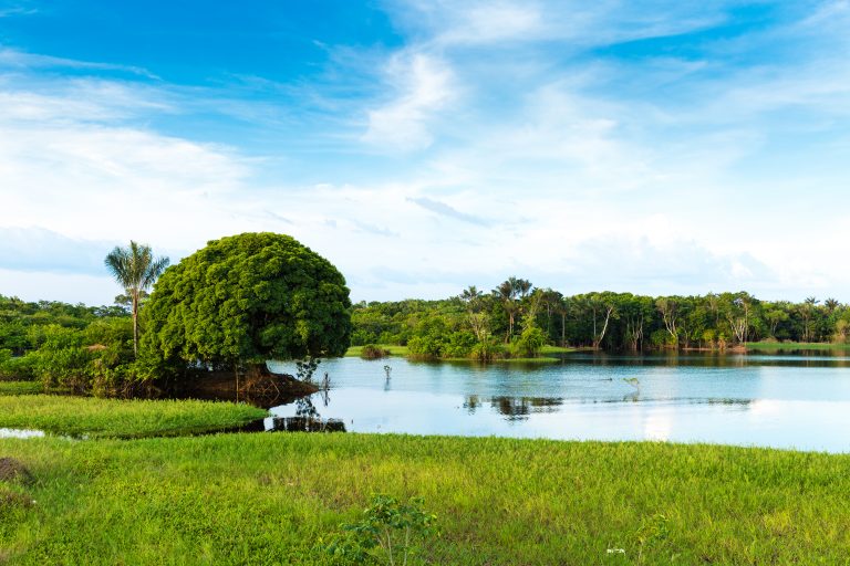 lac Amazonie