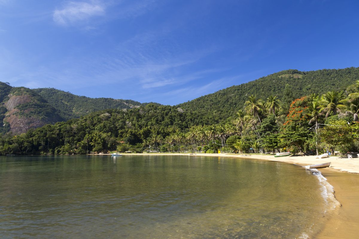 plage de rêve cocotiers et sable blanc