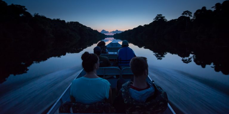 Amazonie l'archipel des Anavilhanas la nuit