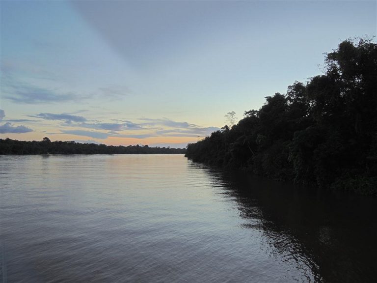 Amazonie premières lueurs de l'aube