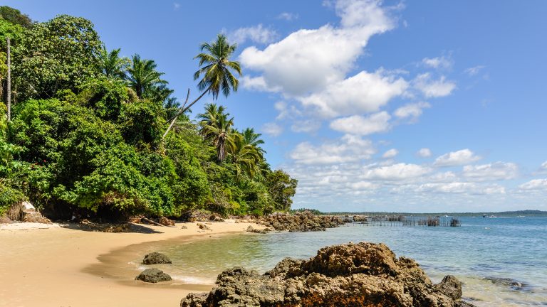 plage et cocotiers à Morro de Sao Paulo