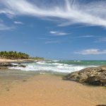 Praia do Forte Plage et cocotiers