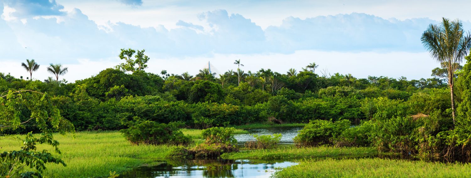 beau paysage du Pantanal
