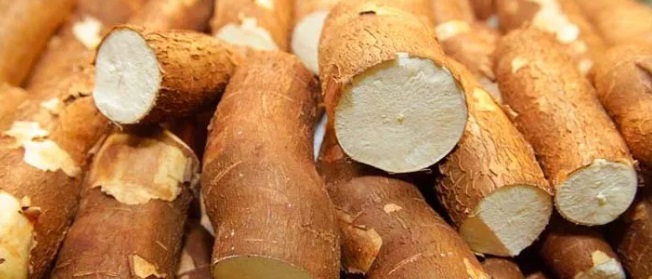 gros plan sur un tas de racines de manioc au brésil