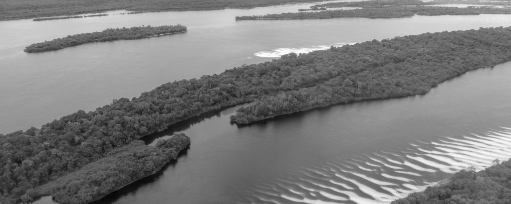Iles des Anavilhanas vue du ciel