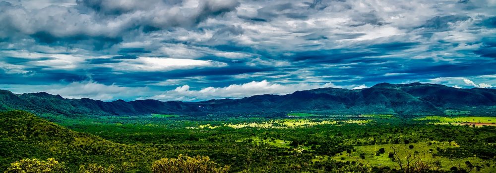 paysage de pampa au Brésil.