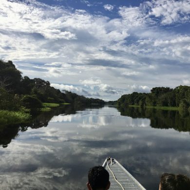 vue de la rivière Téfé depuis un canot.