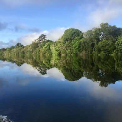 Vue d'une rivière de la réserve Mamiraua en Amazonie.