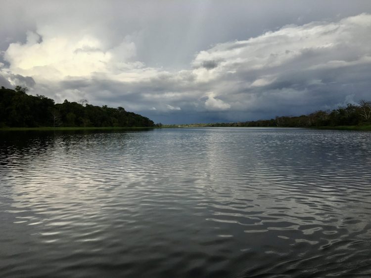 Vue depuis un bateau sur la rivière téfé.