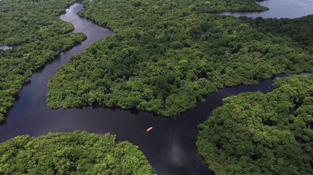igarapé vue du ciel en Amazonie.