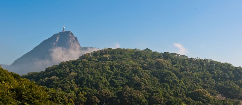 Randonnée dans la forêt de Tijuca a Rio de Janeiro.