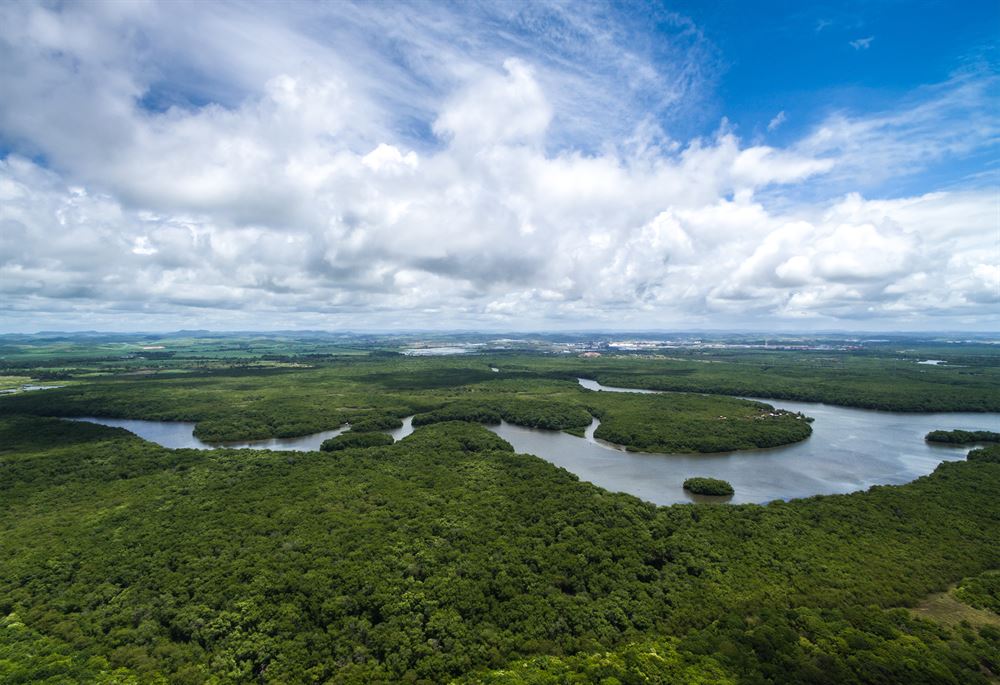 vue dune rivière en Amazonie depuis un drone.
