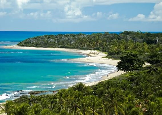Plage sur la côte de Bahia