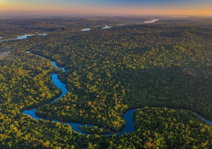 Rivière dans la forêt amazonienne
