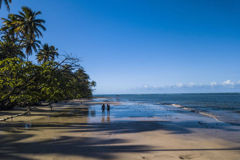 Promenade à l'île de Boipeba.