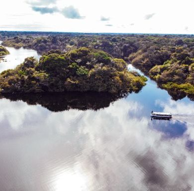 Trajet en canoe sur le Rio Negro
