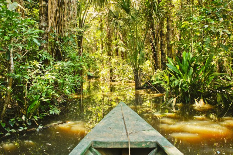 Proue d'une pirogue naviguant sur une rivière calme entourée d'une végétation tropicale dense dans la forêt amazonienne au Brésil.
