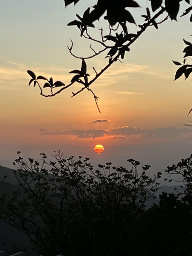 Silhouettes de branches et de feuilles au premier plan encadrant un soleil rouge-orangé qui se couche à l'horizon brumeux d'une montagne, avec un ciel dégradé orange et jaune au Pico Alto.