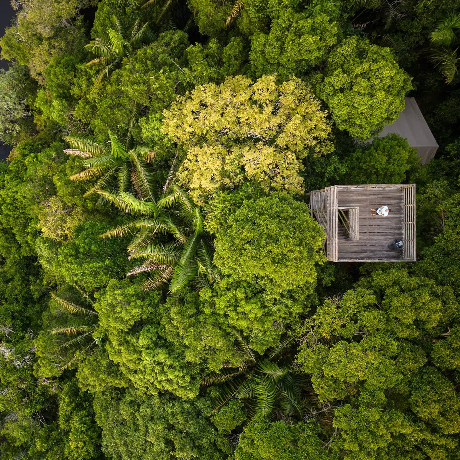 http://Vue%20aérienne%20plongeante%20d'un%20bungalow%20en%20bois%20entouré%20par%20la%20végétation%20dense%20et%20les%20arbres%20tropicaux%20de%20la%20forêt%20amazonienne%20au%20lodge%20Anavilhanas.
